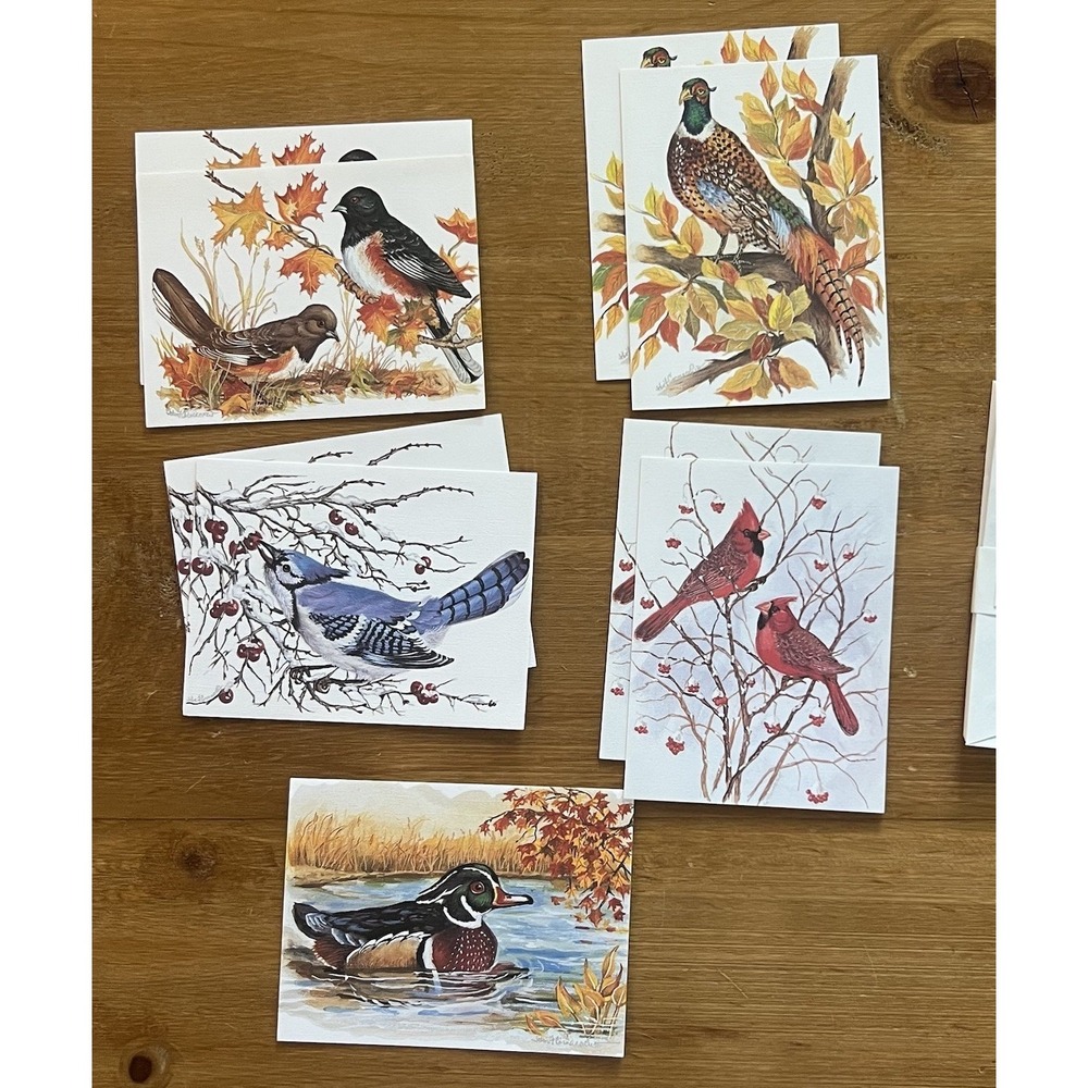 Vintage 1994 PVA John Comacchio Bird Note Cards Wood Duck Cardinal Lot of 9